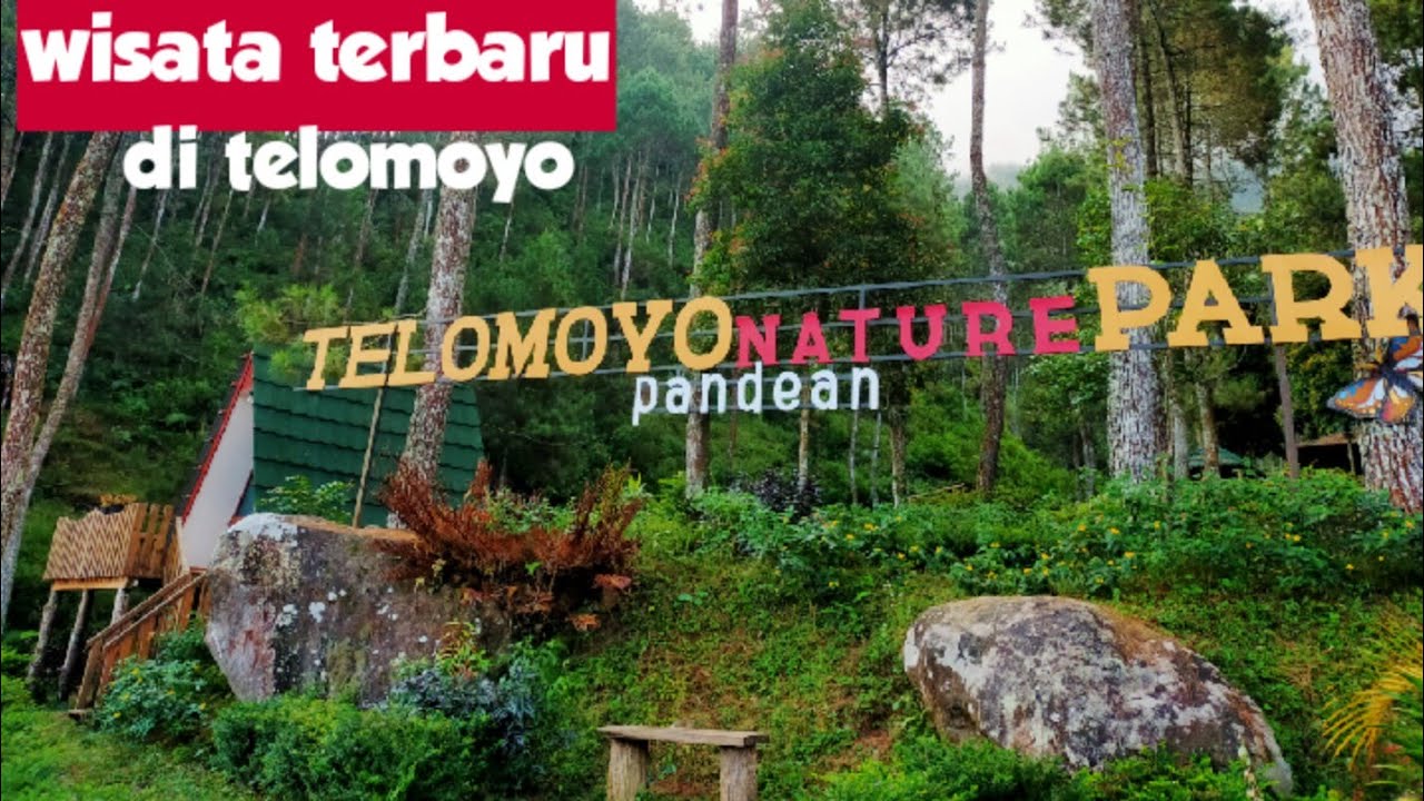 Telomoyo Nature Park: Menjelajahi Pesona Alam di Jawa Tengah